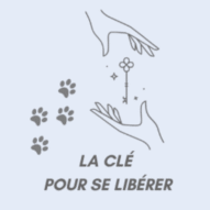 logo Anne Kinésiologue, kinésiologie à Rennes La Mézière